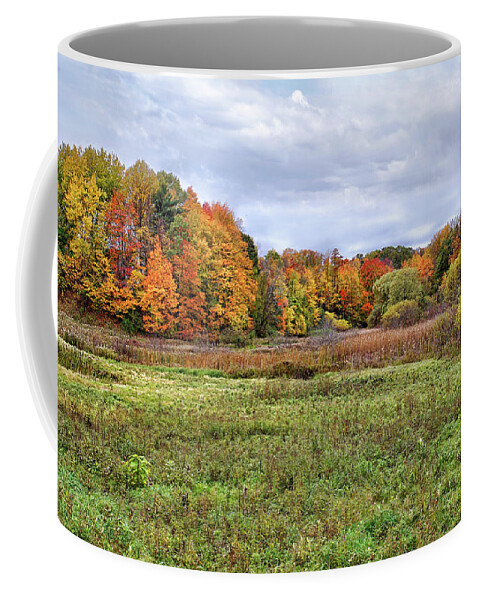 Fall Leaves Coffee Mug featuring the photograph Peak Colors by Kathi Mirto