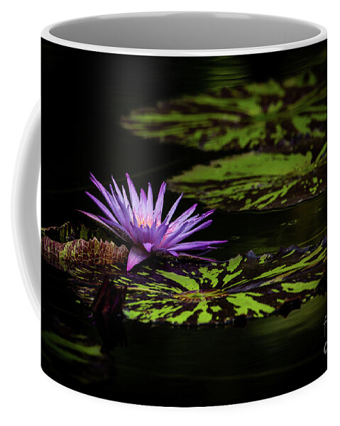 Spring Coffee Mug featuring the photograph Peaking Out in Purple by Sabrina L Ryan