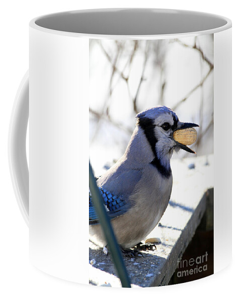 Blue Jay Coffee Mug featuring the photograph Peanut Eater by Rick Rauzi