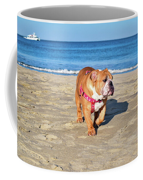 Ocean Coffee Mug featuring the photograph Peanut on the Beach by Nicole Lloyd