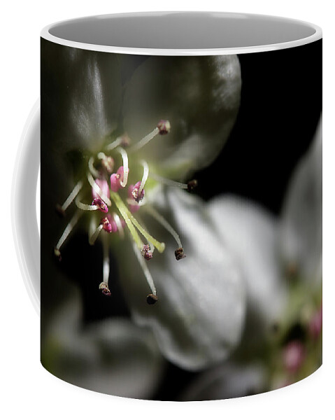 Blossoms Coffee Mug featuring the photograph Pear Blossoms by Mike Eingle