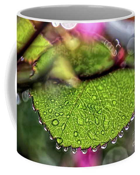 Rain Coffee Mug featuring the photograph Pearls by Mark Jackson