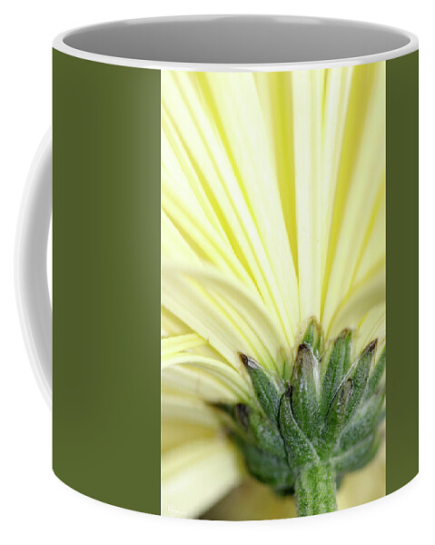 Flower Coffee Mug featuring the photograph Pedestal by Mary Anne Delgado