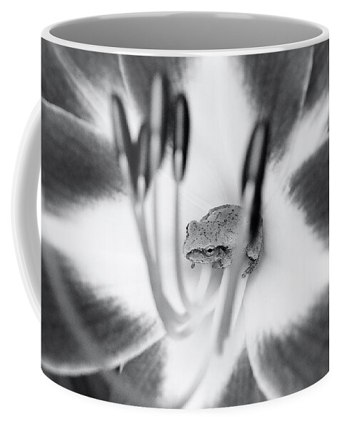 Copes Coffee Mug featuring the photograph Peek A Boo by Kathi Mirto