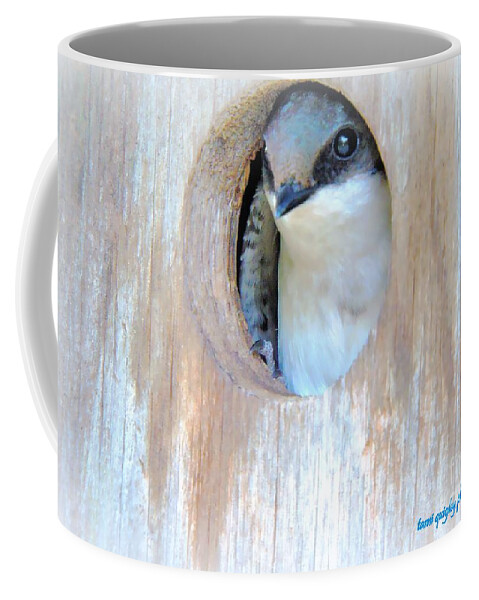 Tree Swallow Coffee Mug featuring the photograph Peek Of Blue by Tami Quigley