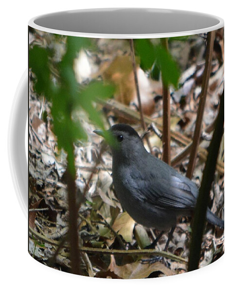Bird Coffee Mug featuring the photograph Peekaboo by Dani McEvoy