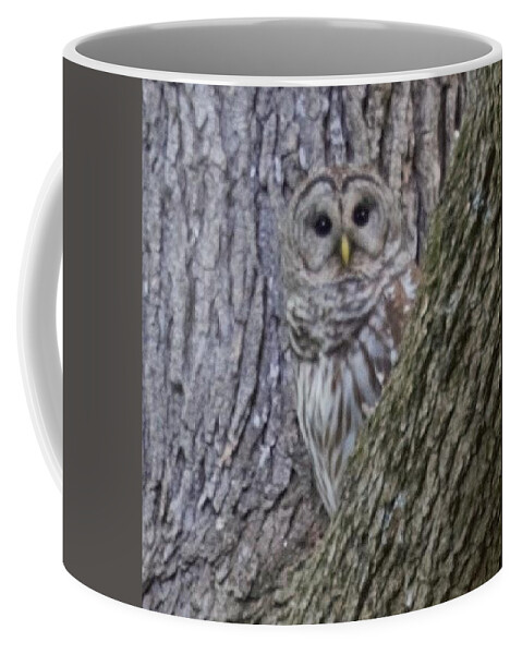 Barred Owl Coffee Mug featuring the photograph Peekaboo by R Allen Swezey