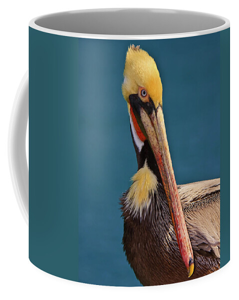 Pelican Coffee Mug featuring the photograph Pelican by Beth Sargent