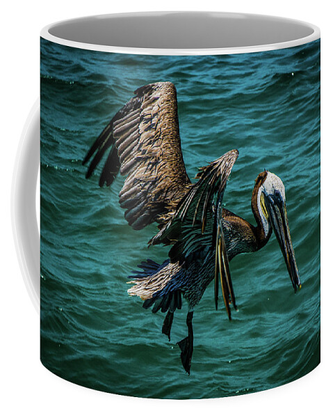 Landscape Coffee Mug featuring the photograph Pelican Glide by Jason Brooks