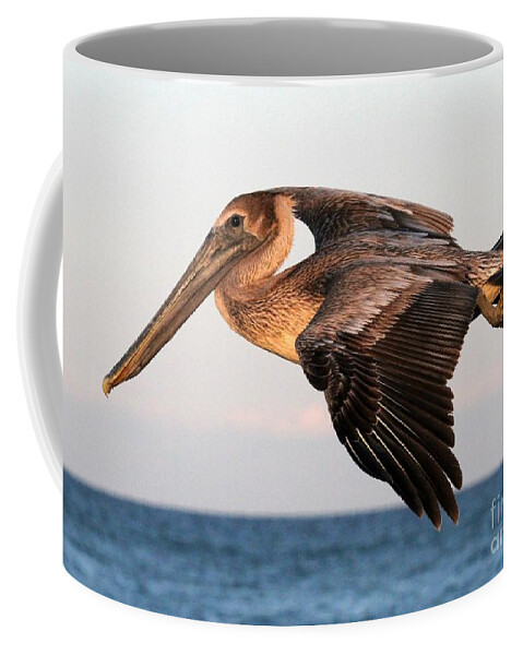 Pelican Coffee Mug featuring the photograph Pelican in Flight at Sunset by Sabrina L Ryan