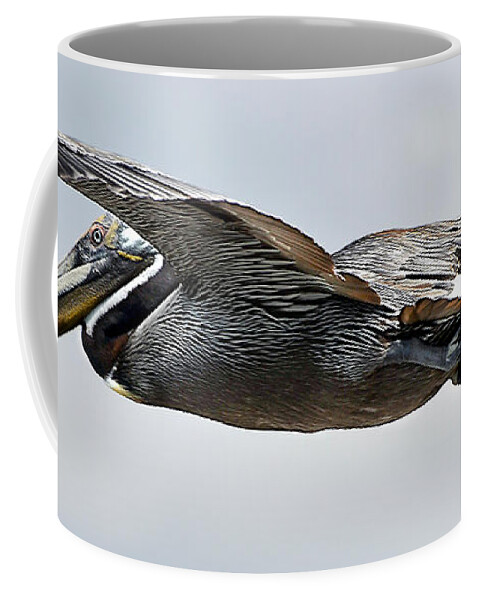Pelican Coffee Mug featuring the photograph Pelican in Flight by WAZgriffin Digital