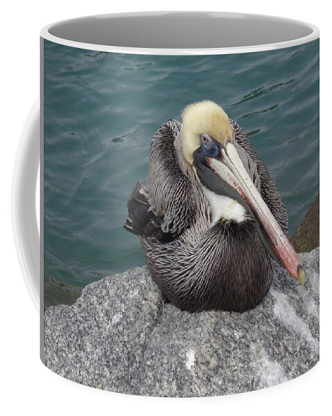 Pelican Coffee Mug featuring the photograph Pelican by John Mathews