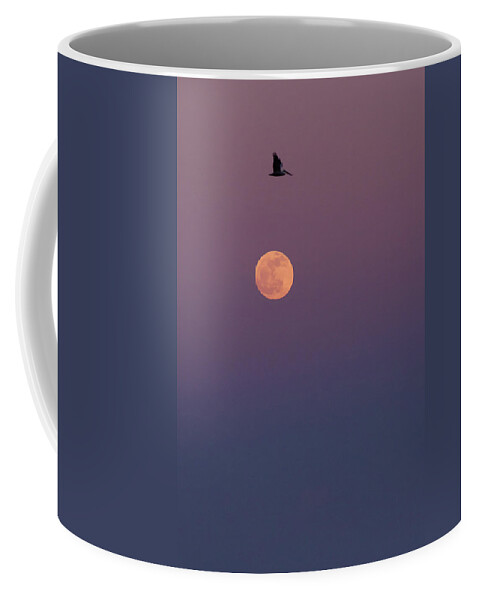 Pelican Coffee Mug featuring the photograph Pelican Over the Moon by Paul Rebmann