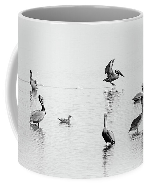 Nature Coffee Mug featuring the photograph Pelican Party by Norma Warden