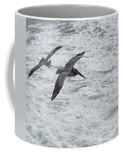 Brown Pelican Coffee Mug featuring the photograph Pelican Patrol by Daniel Hebard