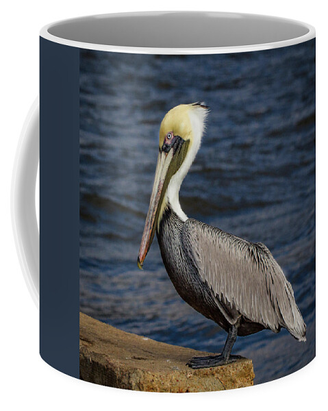 Jean Noren Coffee Mug featuring the photograph Pelican Profile 2 by Jean Noren