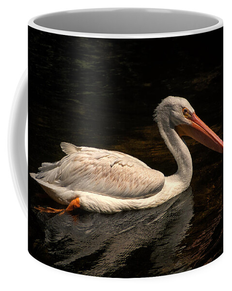 Pelican Coffee Mug featuring the photograph Pelican Swimming in Salisbury by Bill Swartwout