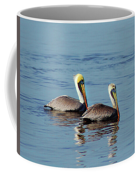 Pelican Coffee Mug featuring the painting Pelicans 2 Together by Michael Thomas