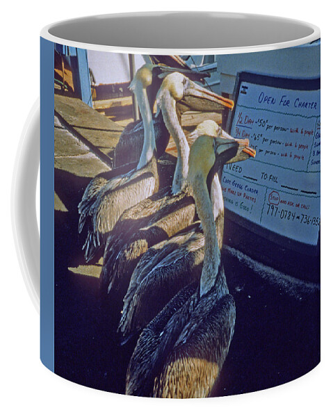 Color Coffee Mug featuring the photograph Pelicans and the Menu by Frank DiMarco