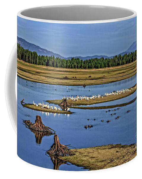 Wild Coffee Mug featuring the photograph Pelicans Gathering by Robert Bales