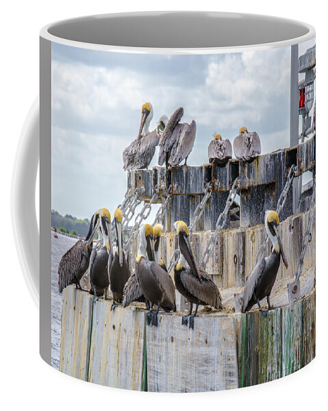 Mayport Coffee Mug featuring the photograph Pelicans of Mayport by Valerie Cason