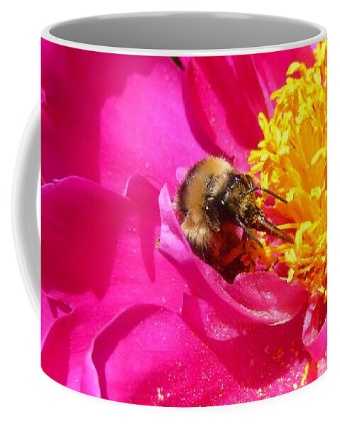 Bee Coffee Mug featuring the photograph Peony and bumble bee by Jean Evans