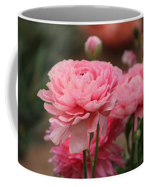 Pink Ranunculus Coffee Mug featuring the photograph Peony Pink Ranunculus Closeup by Colleen Cornelius