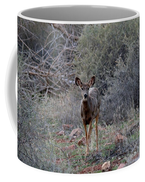 Deer Coffee Mug featuring the photograph People Watching by Christy Pooschke