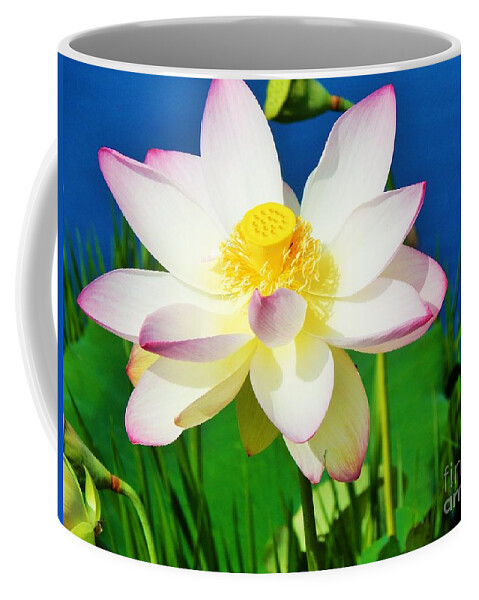 Flower Coffee Mug featuring the photograph Perfect Lily by Jan Gelders