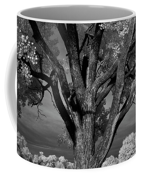 Ir Coffee Mug featuring the photograph Personality by Brian Duram