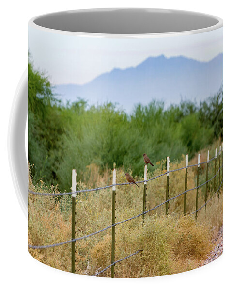 Perspective Coffee Mug featuring the photograph Perspective by Douglas Killourie