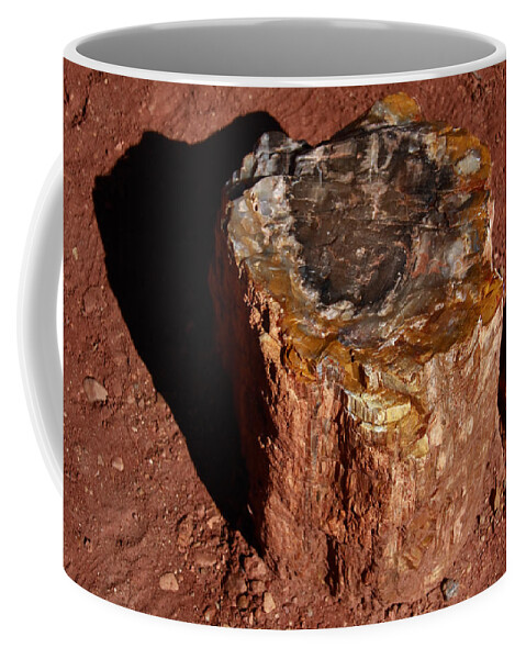 Petrified Forest Coffee Mug featuring the photograph Petrified Forest by Aidan Moran