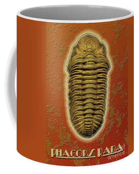 Trilobite Coffee Mug featuring the photograph Phacops Rana Crassituberculata by Melissa A Benson