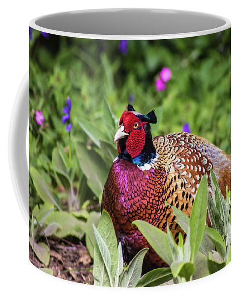 Pheasant Coffee Mug featuring the photograph Pheasant by Martin Newman