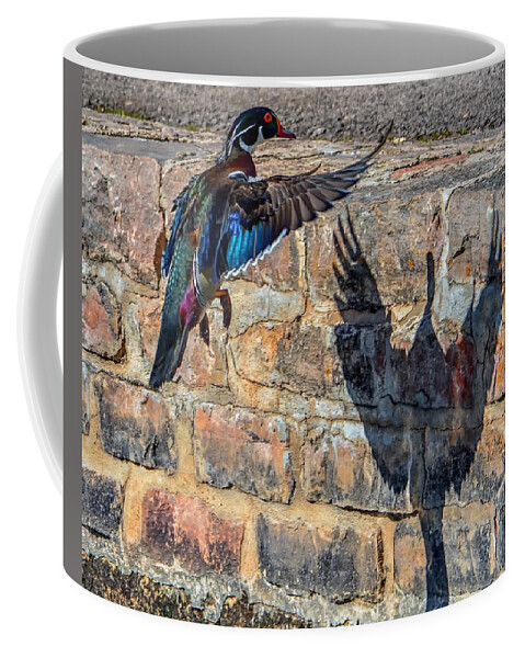 Phoenix Coffee Mug featuring the photograph Phoenix by Fiskr Larsen