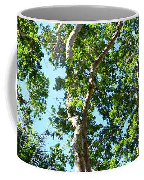 Tree Coffee Mug featuring the photograph Photo 45 by Lucie Dumas
