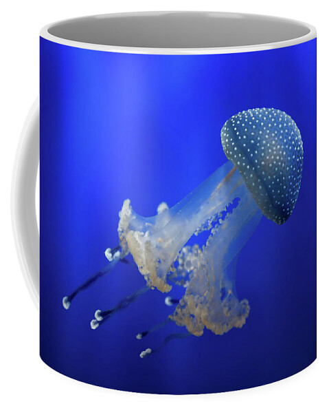 Jellyfish Coffee Mug featuring the photograph Phyllorhiza punctata by Giovanni Allievi