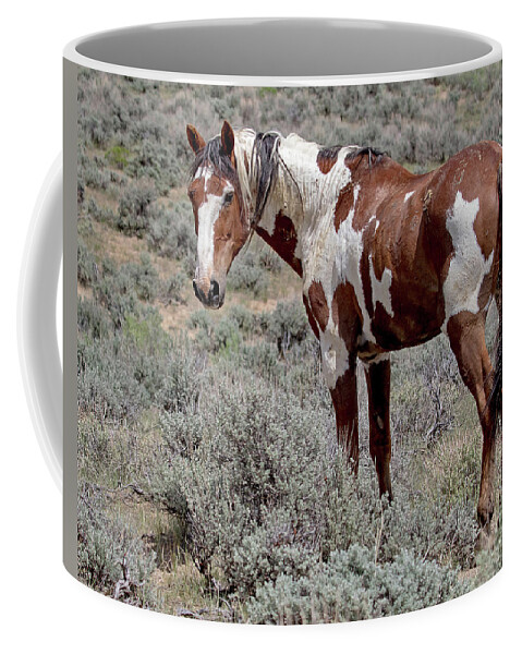 Picasso Coffee Mug featuring the photograph Picasso of Sand Wash Basin #2 by Mindy Musick King