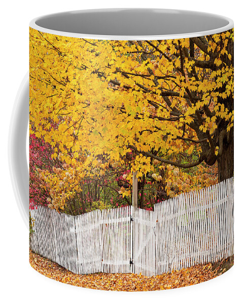 Fall Coffee Mug featuring the photograph Picket Fence Autumn by Alan L Graham