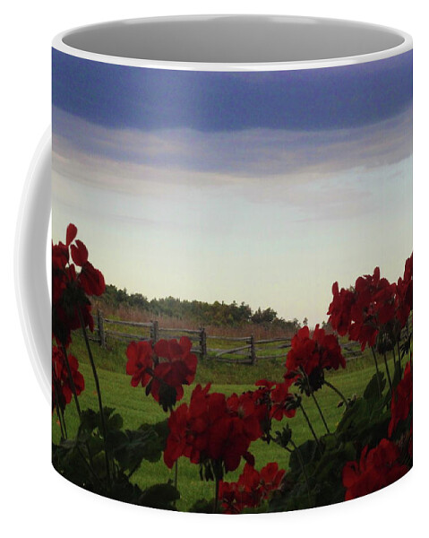 Nature Coffee Mug featuring the photograph Picket fence, flowers and storms by Cathy Lindsey