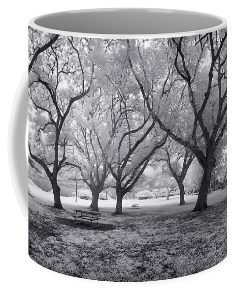 Black And White Coffee Mug featuring the photograph Picnic Bench Dream by Sean Davey