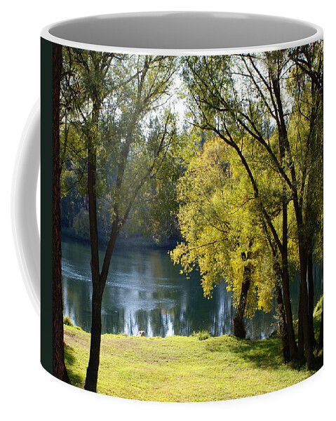Nature Coffee Mug featuring the photograph Picnic Spot on Spokane River by Ben Upham III