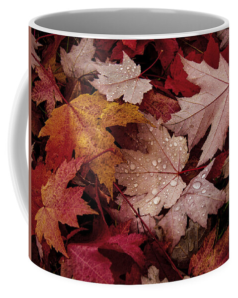 Color Coffee Mug featuring the photograph Pile of Leaves by Jean Noren