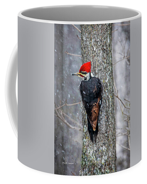 Woodpecker Coffee Mug featuring the photograph Pileated Woodpecker by Dale R Carlson