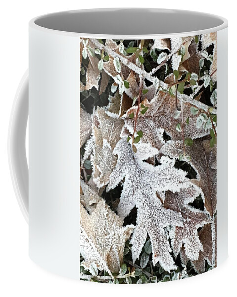 Pin Oak Coffee Mug featuring the photograph Pin Oak Leaves 2 by Kathryn Alexander MA