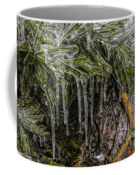 Winter Amicola Falls Coffee Mug featuring the photograph Pine Needlecicles by Barbara Bowen