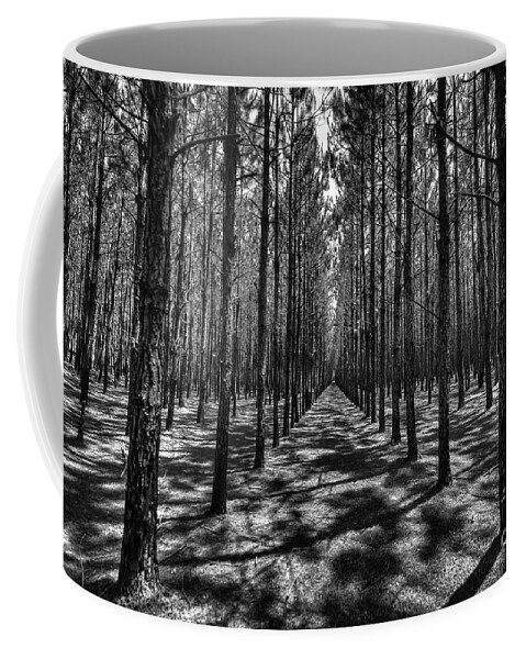 Pines Coffee Mug featuring the photograph Pine Plantation Wide by Gulf Coast Aerials -