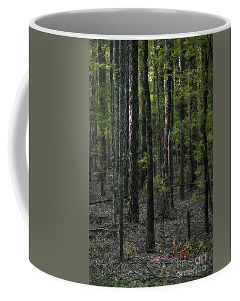 Nature Coffee Mug featuring the photograph Pine Wood Sunrise by Skip Willits