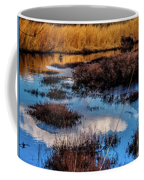 Landscape Coffee Mug featuring the photograph Pineland Cloud Reflections by Louis Dallara