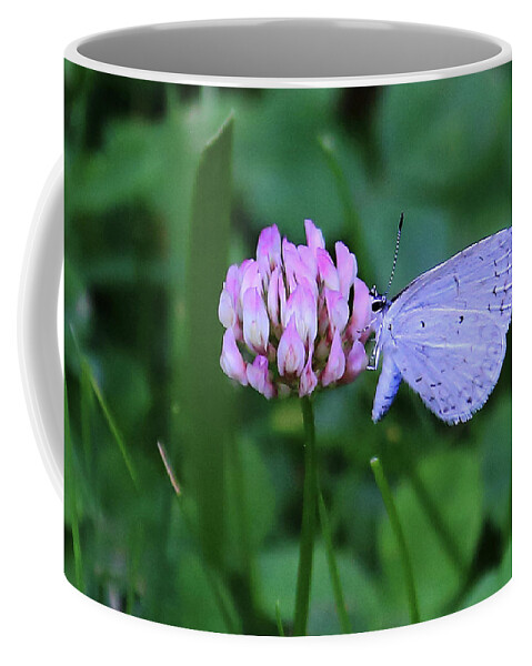 Pink And Blue Coffee Mug featuring the photograph Pink and Blue by PJQandFriends Photography